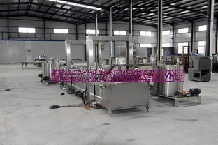 諸城市大洋食品機(jī)械推出全新高效油炸生產(chǎn)線(xiàn)，引領(lǐng)食品加工設(shè)備性能新標(biāo)桿