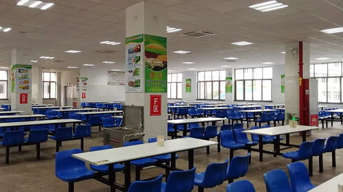 速看！麗水130家學校、幼兒園獲評餐飲服務食品安全A級單位