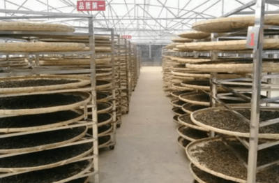 大圓普洱上線產品巡禮之 陳升號班章 品味高品質大樹茶的真諦